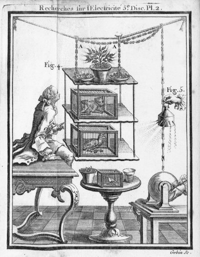 Experimentieren mit Elektrizität, Platte aus 